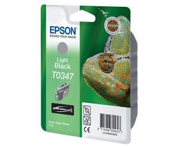 EPSON Náplň šedá pre Stylus Photo 2100 (T034740)